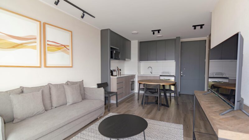 Elegant modern living space with grey couch, minimalist decor, and open kitchenette.